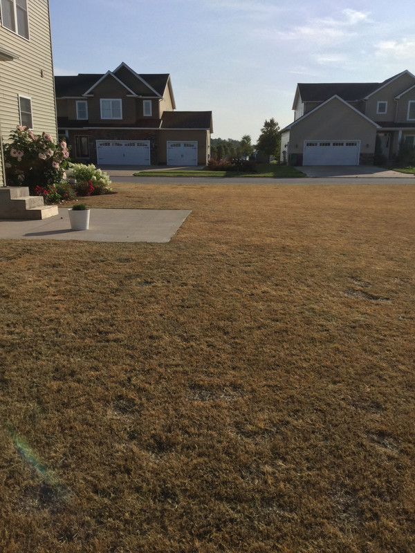 3809D2E3-D194-49A7-A477-0B3D927B3AFC