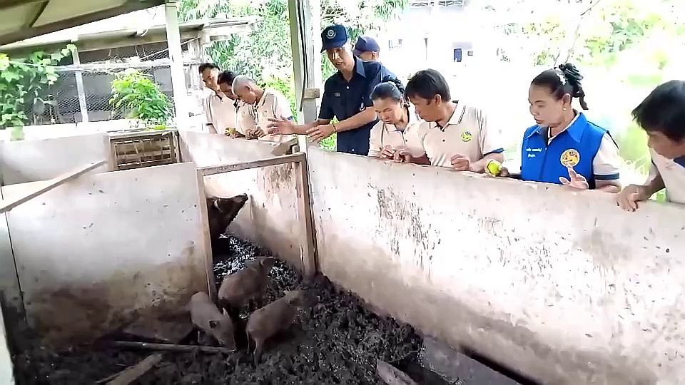 vlcsnap-2025-09-27-14h19m58s279