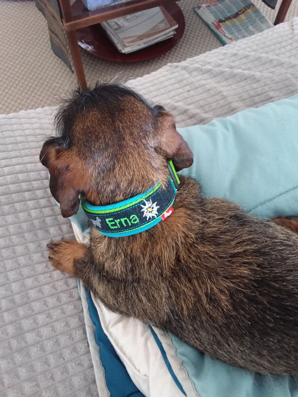 [Image: 20230204-132226.jpg]