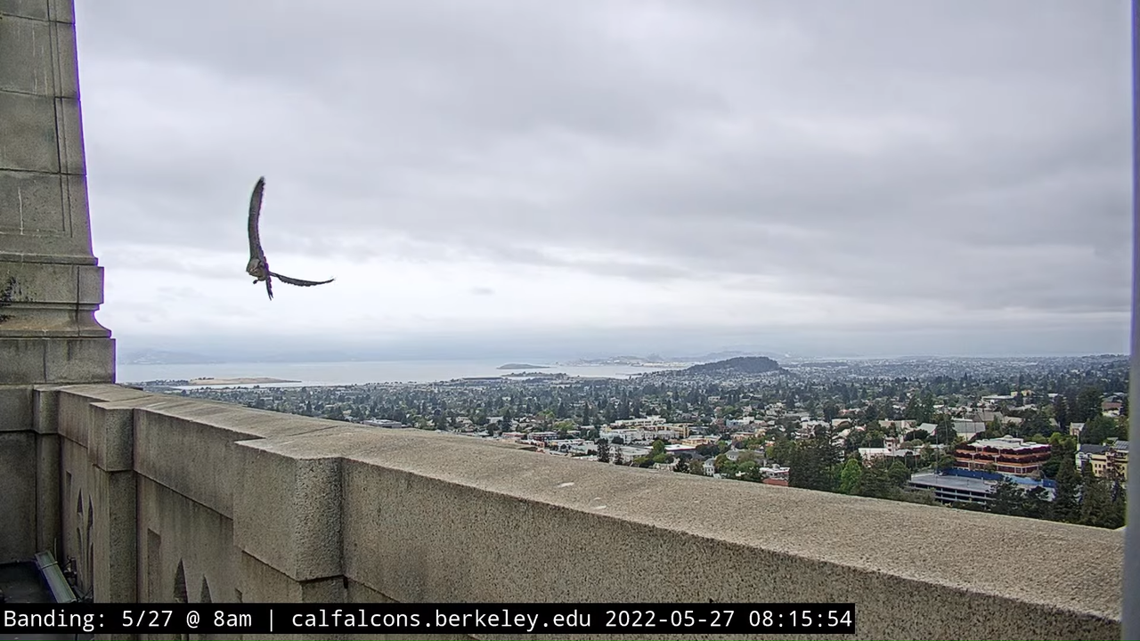 5-27-22 Banding (Raw North Footage) 6-39 screenshot