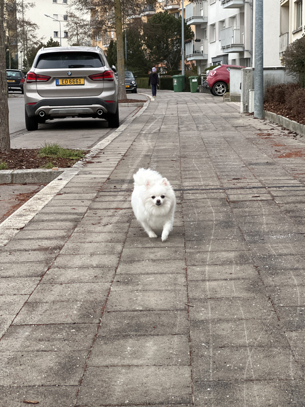 DFF727AB-594D-440E-9C3D-C7C02EF88365