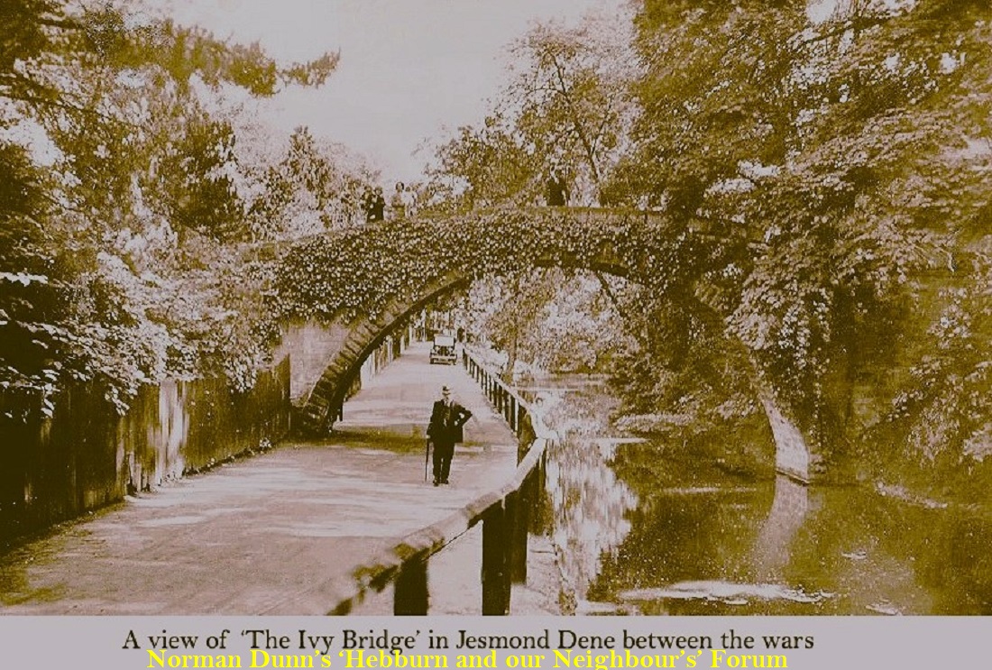 Ivy-Bridge-Jesmond-Dene-post-ww1