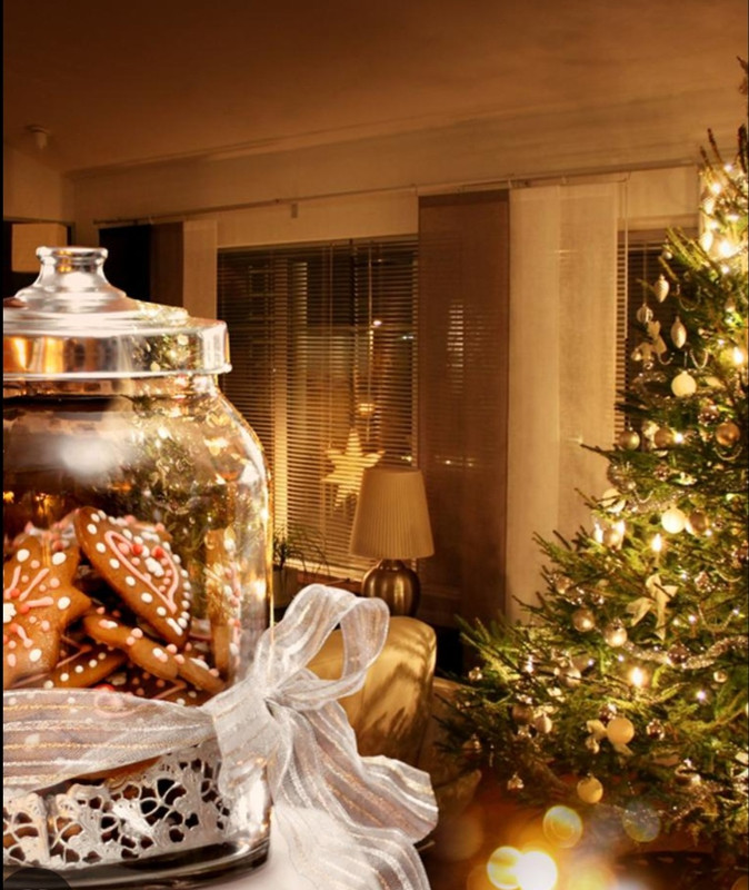 Screenshot_20221203-021812_Chrome