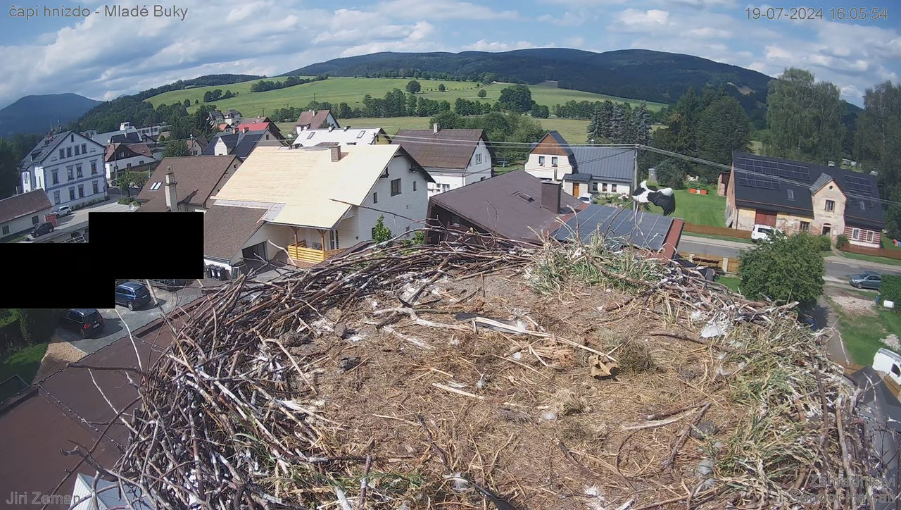 Tiešraides kamera — Mladé Buky — stārķa ligzda 11-25-54 screenshot (2)