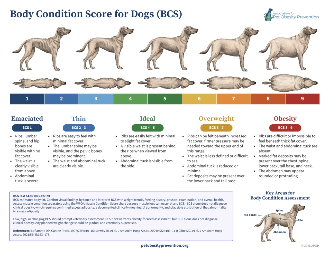 Escala de Condición Corporal para Perros