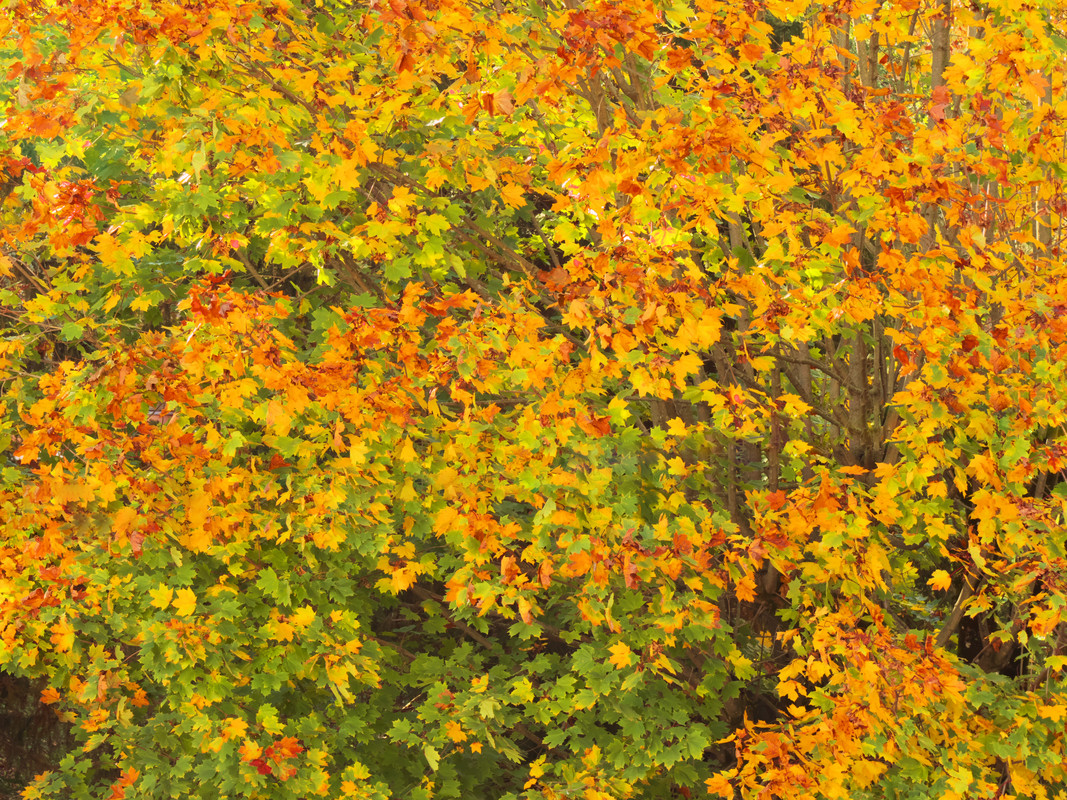 A09D5F96-50E0-4014-84C2-FAD159CDCA45