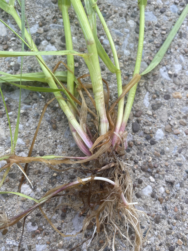 30C785CC-CE35-42EC-9EB3-5E115BF81F2E