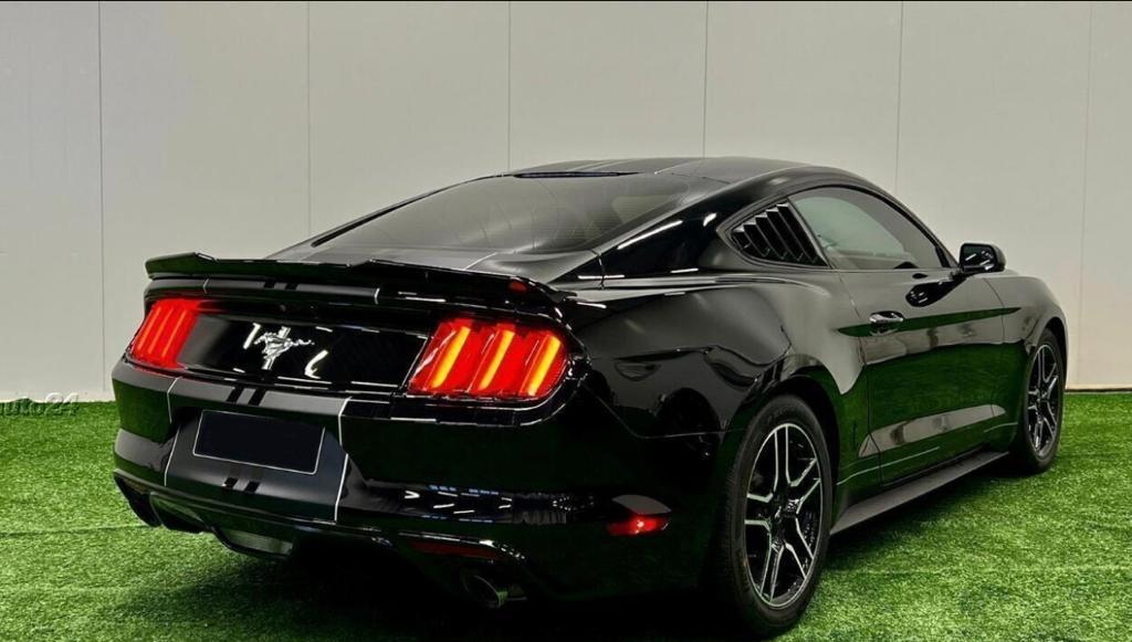 PHOTO-2022-09-25-18-05-31(6)