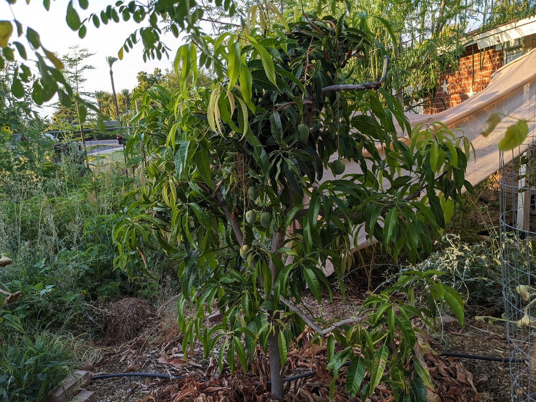 PXL_20240711_014346568