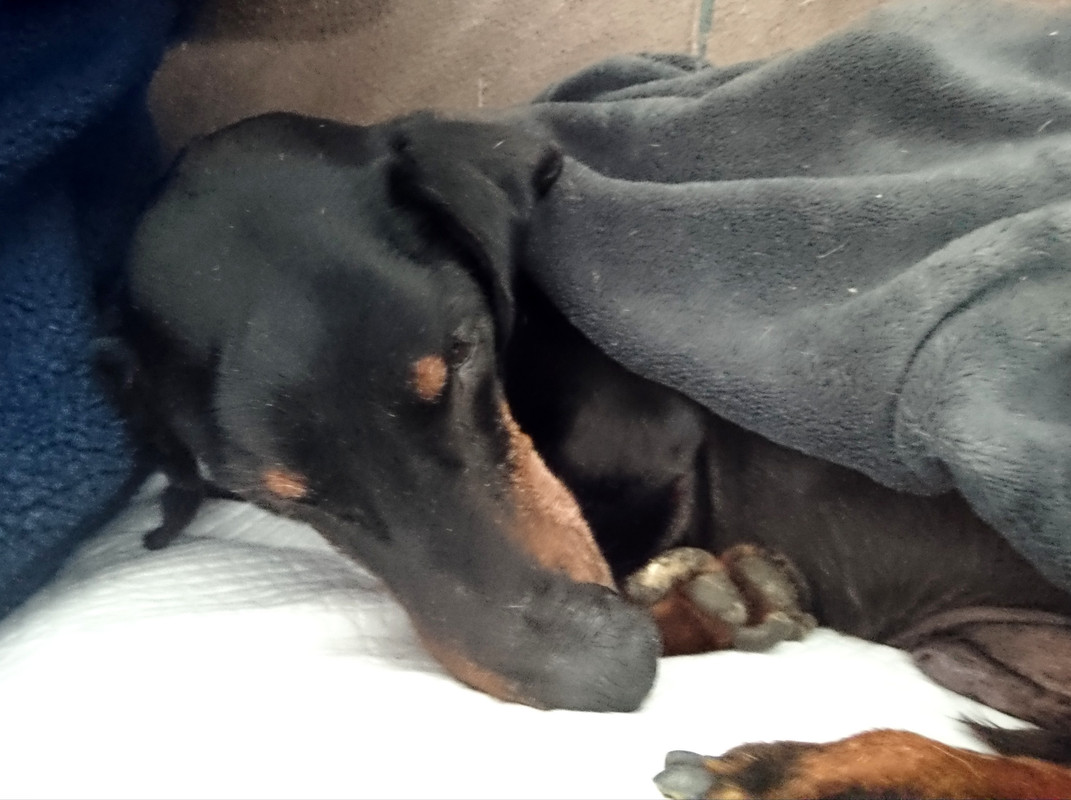 [Image: 20221201-142951.jpg]