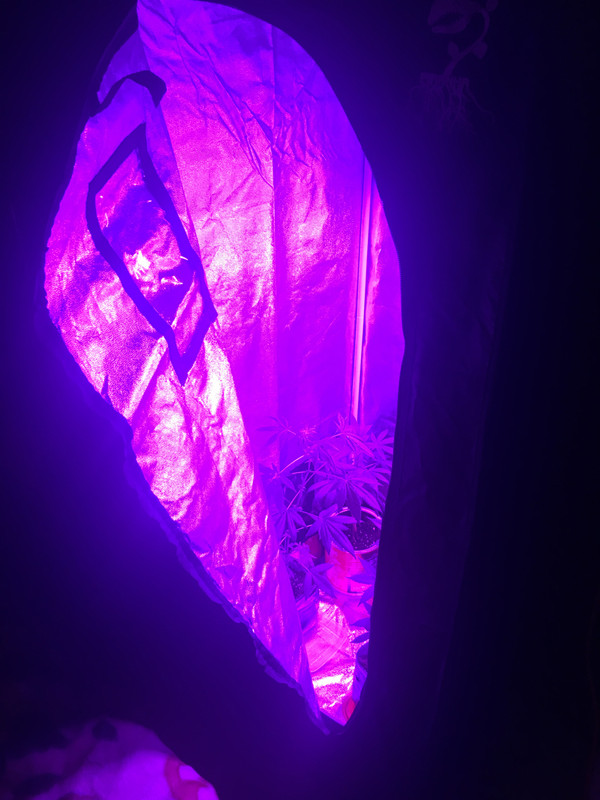 967575A3-7F88-487C-B352-89FD63BF0319