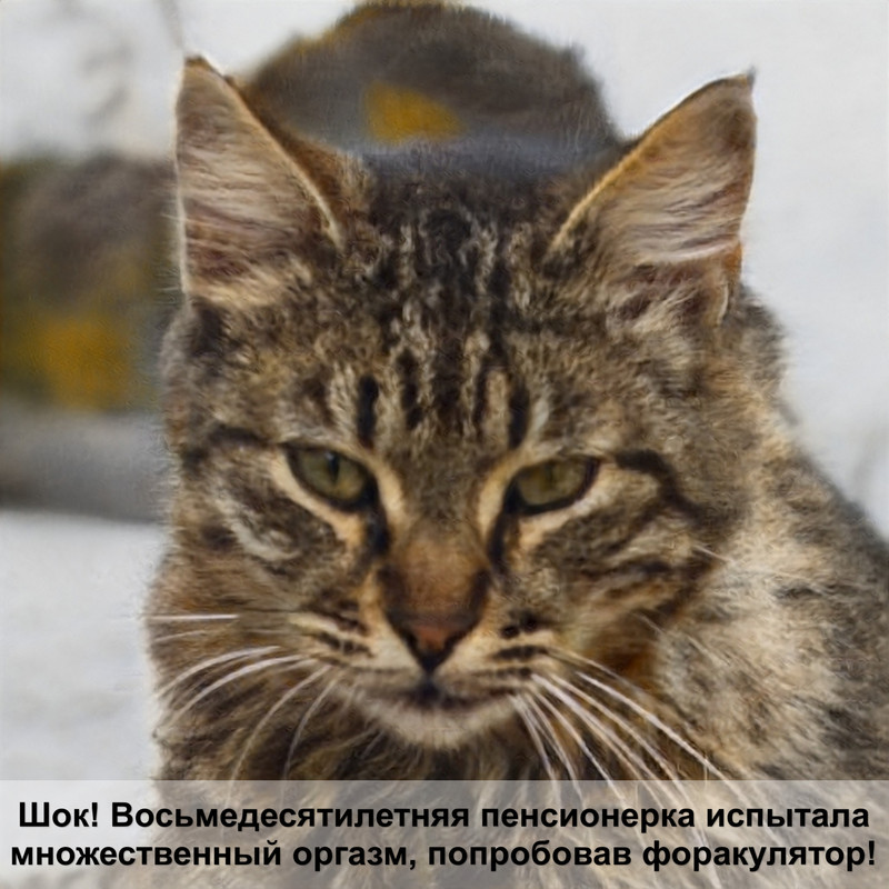 одежда для кошки из рукава