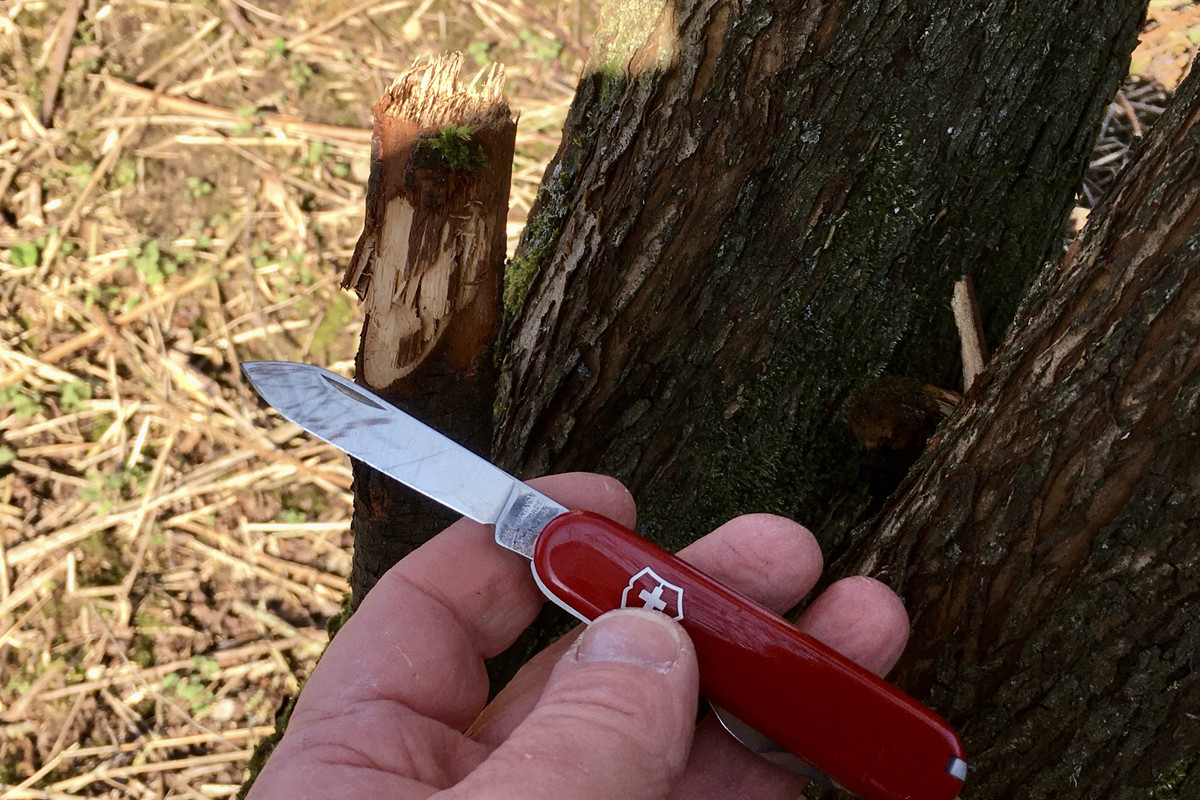 A7E02B28-6584-4086-8582-FF95EF57E8FC