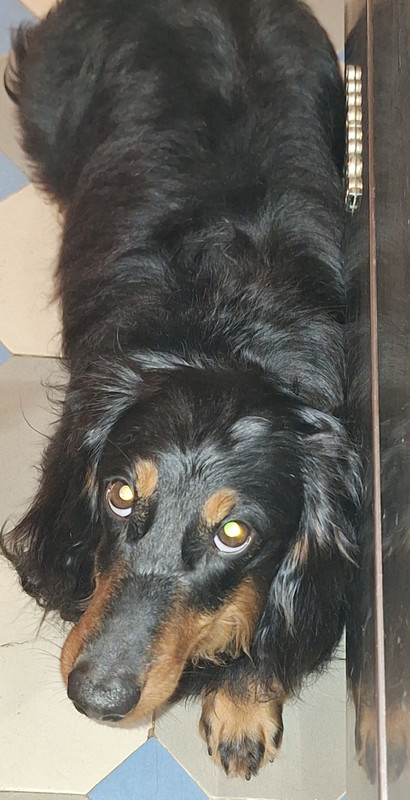 [Image: 20240417-212924.jpg]