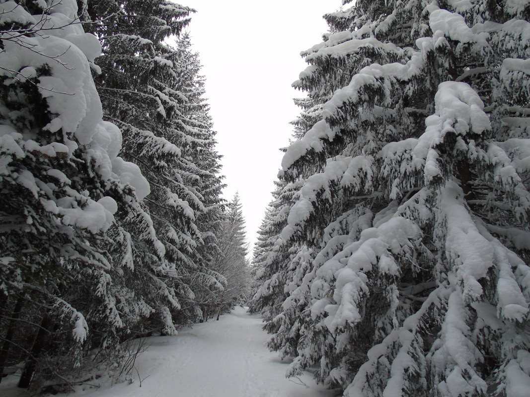 09.01 - DSC05038 (PawelK)