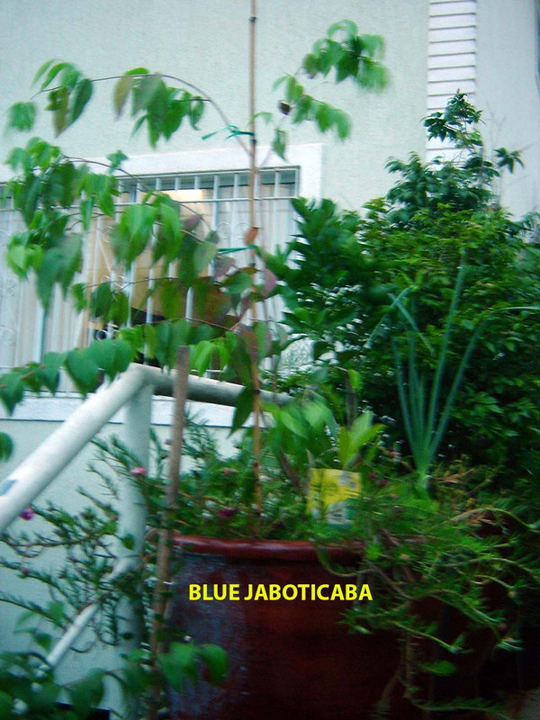 DSC02008