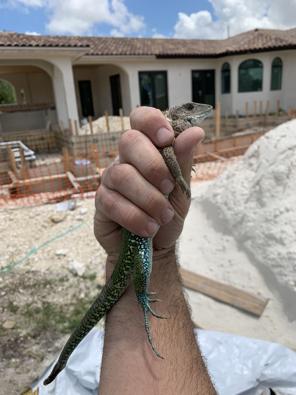 E77B1349-1742-4E9D-B9A9-82F2F96C5CAC