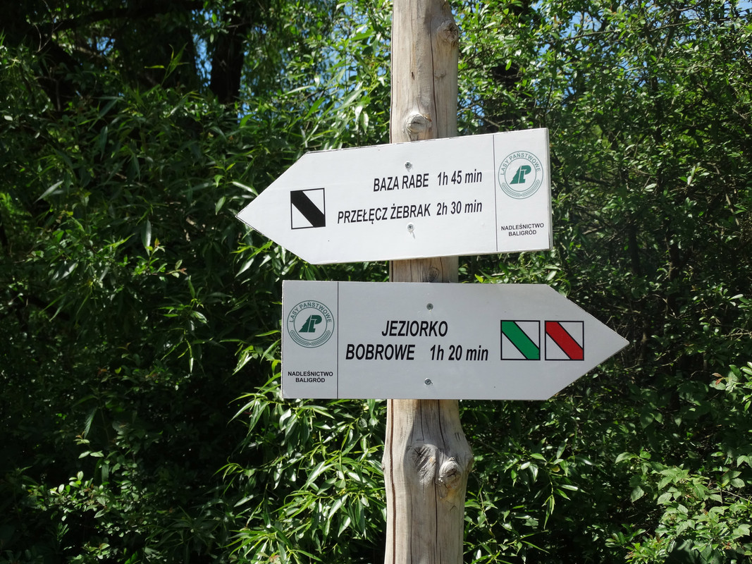 194 - DSC01494 (Milady)