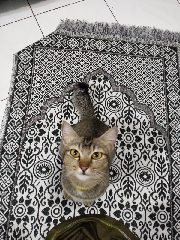 6ea04e94e0a2c204c6ded47159cbf70d