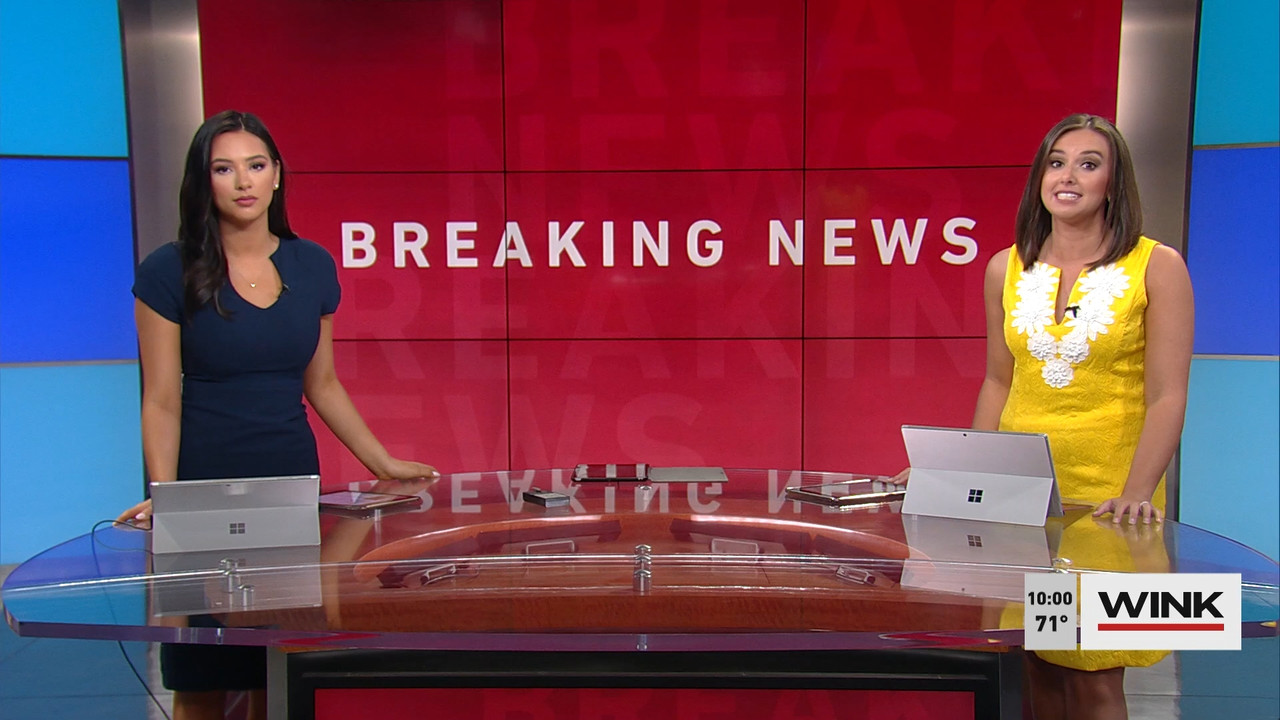 03.14 - 14.00.00 - WINK News at 9 00 a.m..ts_snapshot_00.02.43.358