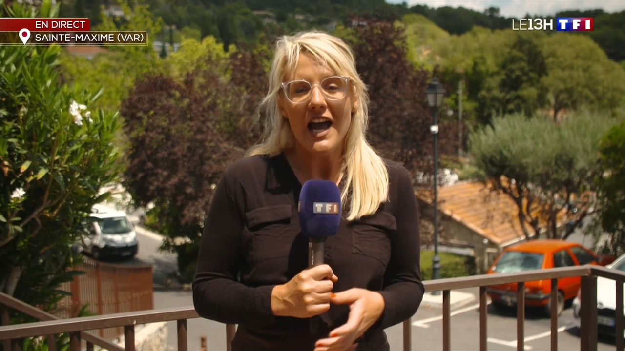 2022-07-13_13_00_TF1_Le-13h.mp4_snapshot_35.41.525