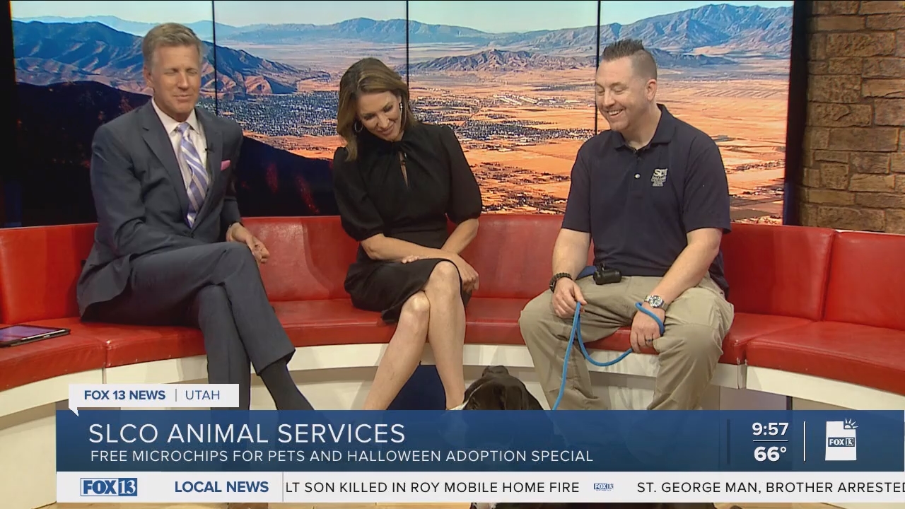 10.04 - 16.00.00 - FOX13 News  Good Day Utah 9AM  ᴺᵉʷ. Utah news, wea....ts_snapshot_00.59.17.432