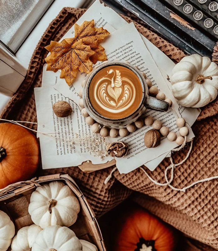 Screenshot_20231203_235728_Instagram