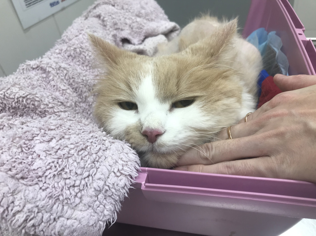 5FAE6D2A-AA08-4891-BFC4-F3F5D69BBE53