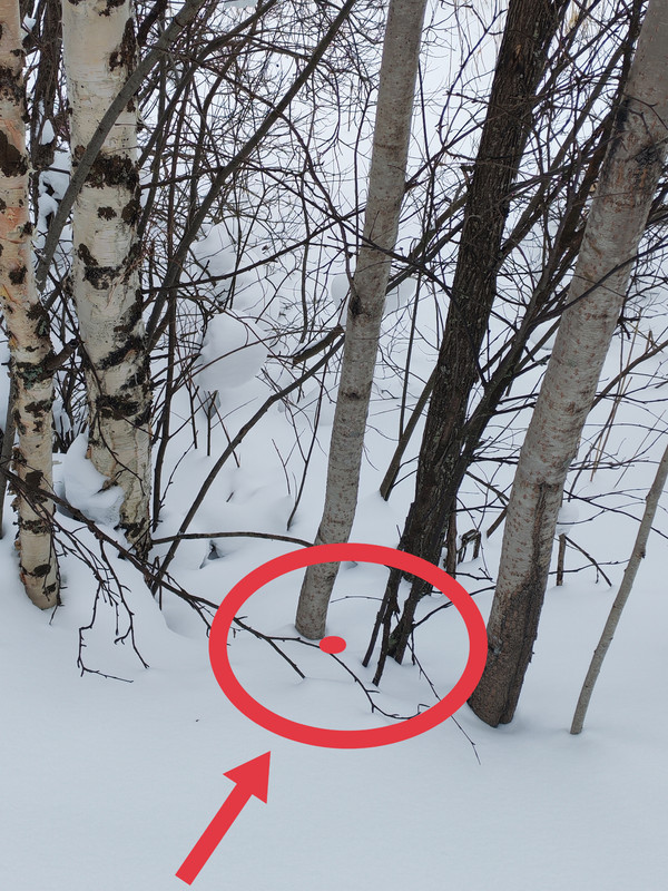 IMG 20260304 103446 edit 42418433208349