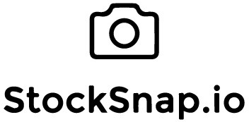 StockSnap.io