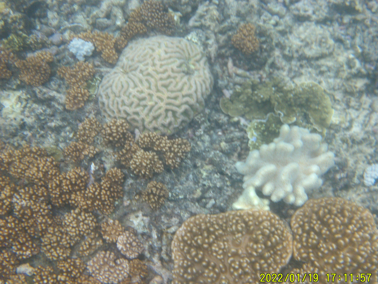 DSCF0019