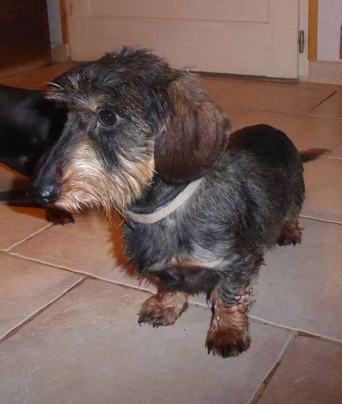 [Image: P1050965.jpg]