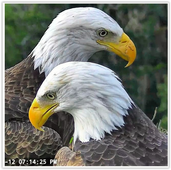 Screen Shot 09-13-22 at 09.19 AM 001