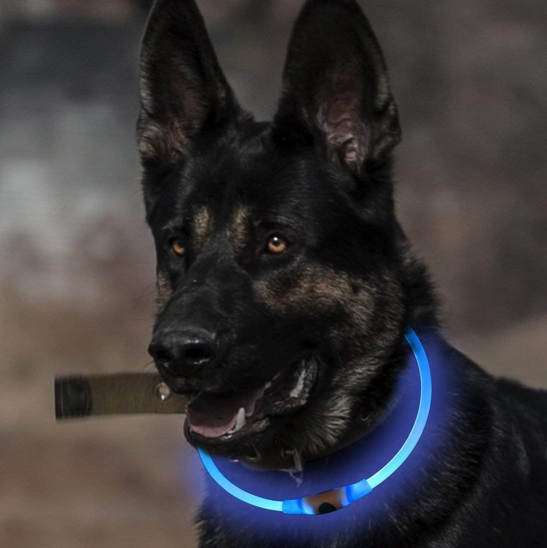 61v3GHHsUvL._SL1098_