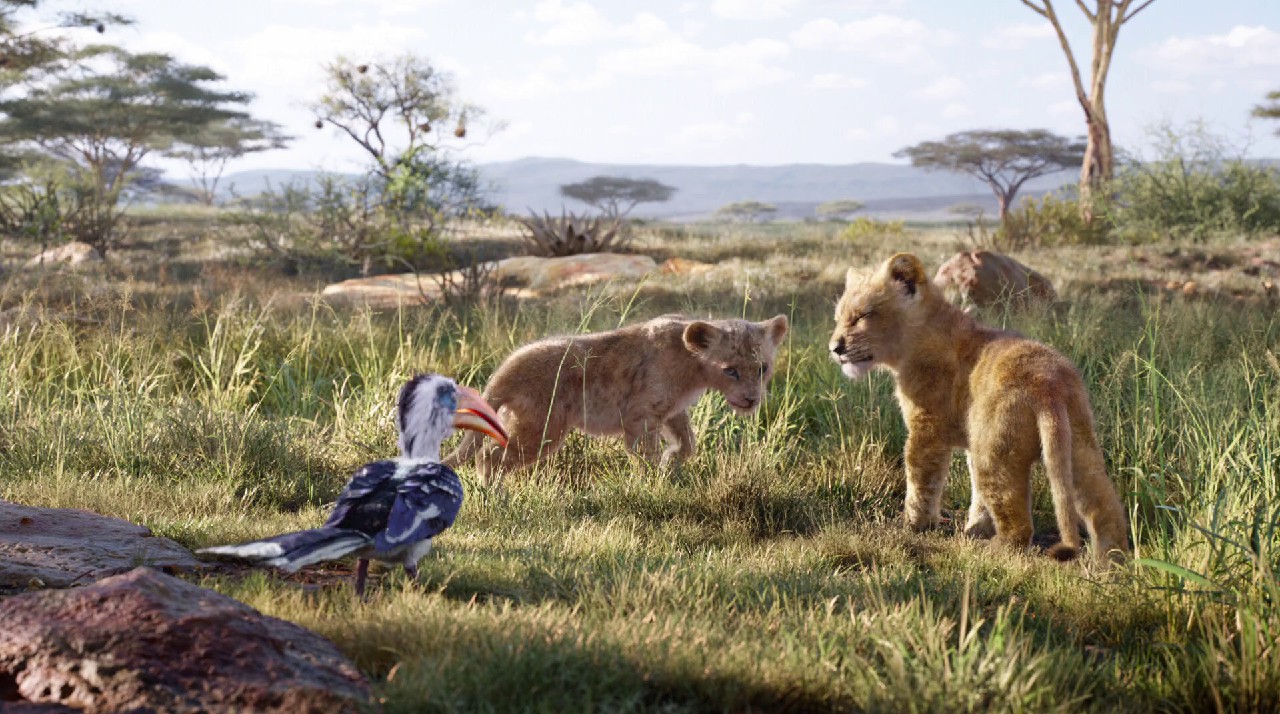 The-Lion-King-2019-Blu-Ray-Hin-Eng-Tam-Tel-1080p-x264-AVC-DDP-5-1-ESub-mkv-0000