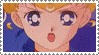 sailor moon
