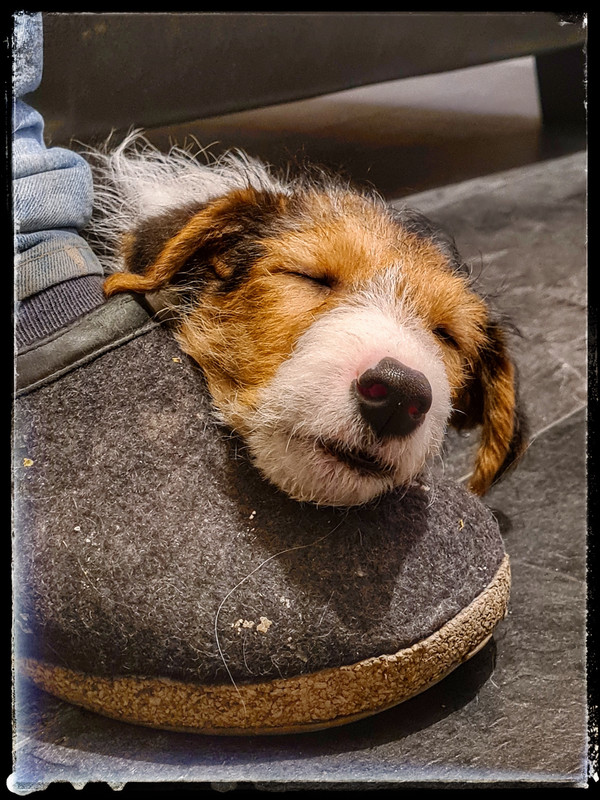 52C9DDB9-86AB-46B1-B8B6-32477E6EB7EB