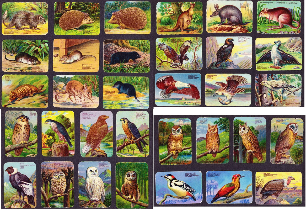 вкладыши (16)_новый размер