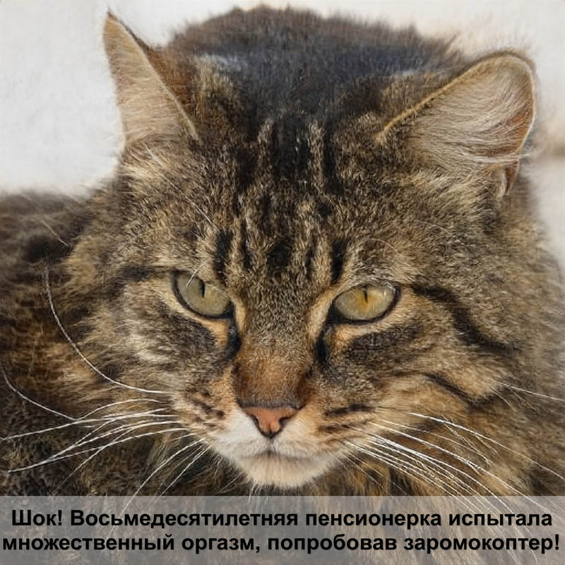 шерсть кошки белый серый