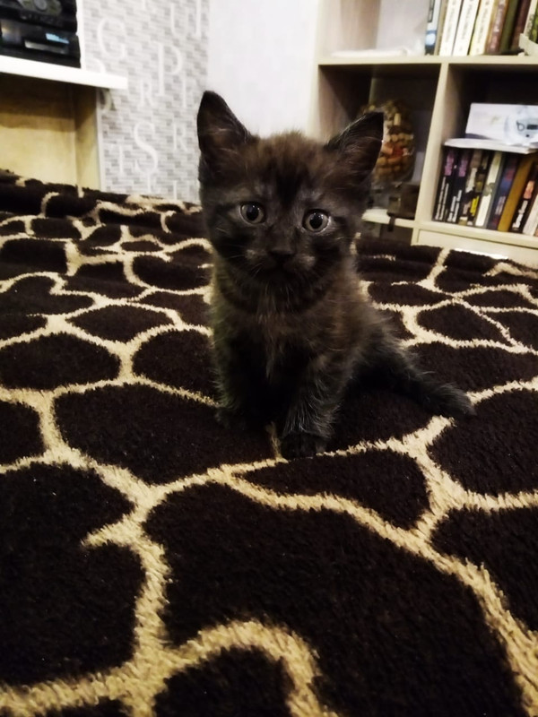 WhatsApp Image 2020-08-06 at 10.05.25