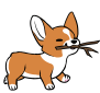 An orange corgi carrying a stick