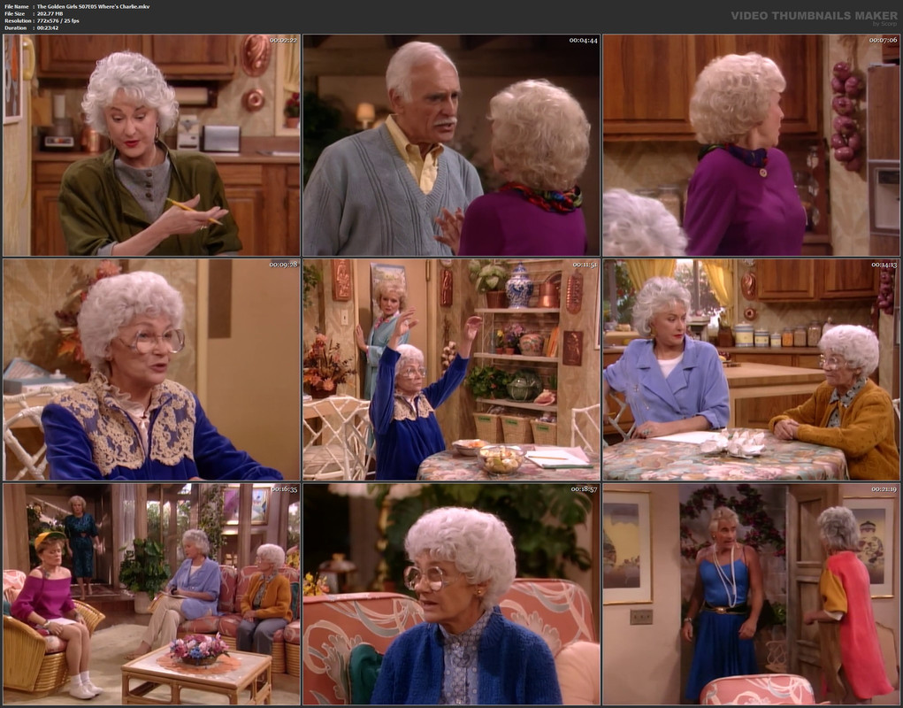 The Golden Girls S07E05 Where's Charlie.mkv