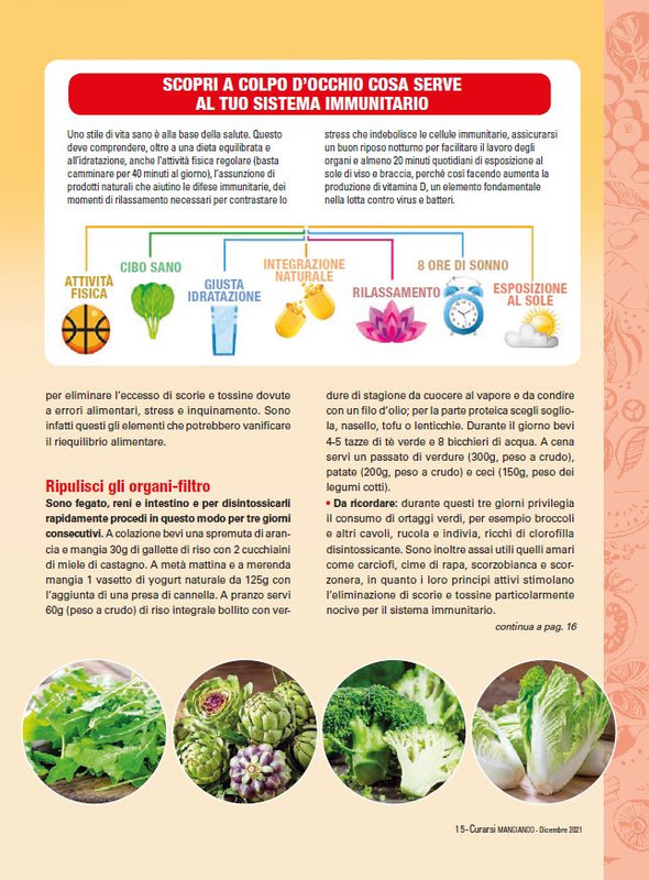 Cur Mang Dic 2021 (2)