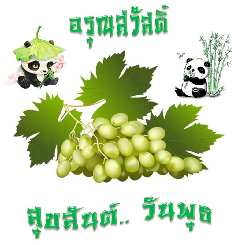 อรุณสวัสดิ์  วันพุธ 7