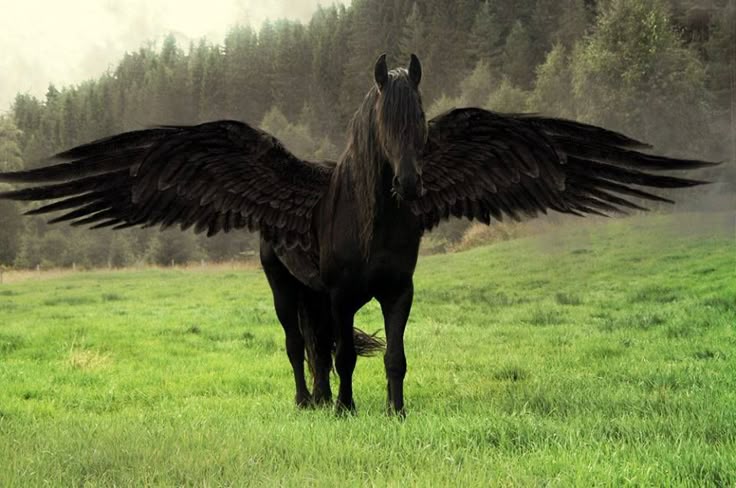 da582339ffba2eb5ea34f5b6a8ae39ba