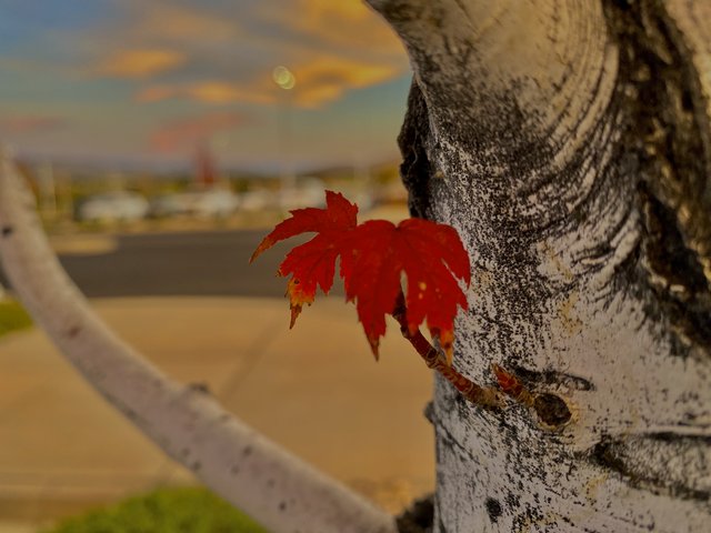 [Image: 5-A5-F79-DB-3-D60-4-D56-B4-E5-DD579-AEE03-CE.jpg]