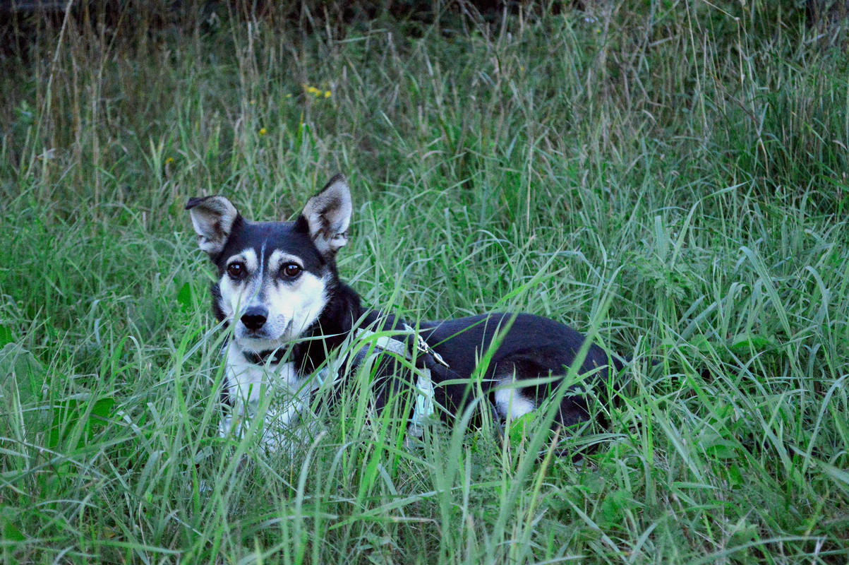 IMG_20230809_072303_edit_1235749453196044