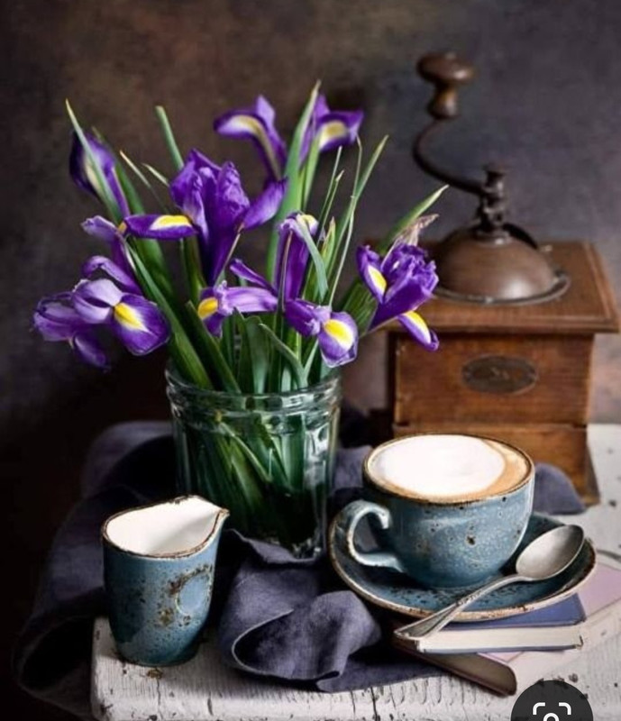 Screenshot_20230913_183300_Pinterest