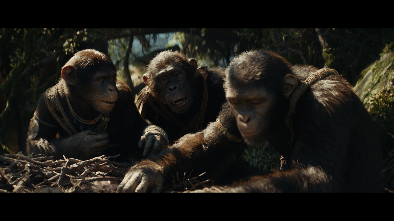 Kingdom-of-the-Planet-of-the-Apes-DV-1