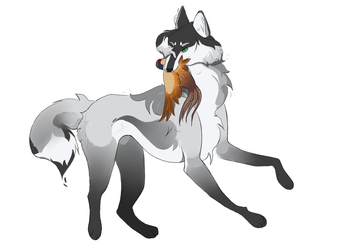 [Image: aurelia-ss.png]